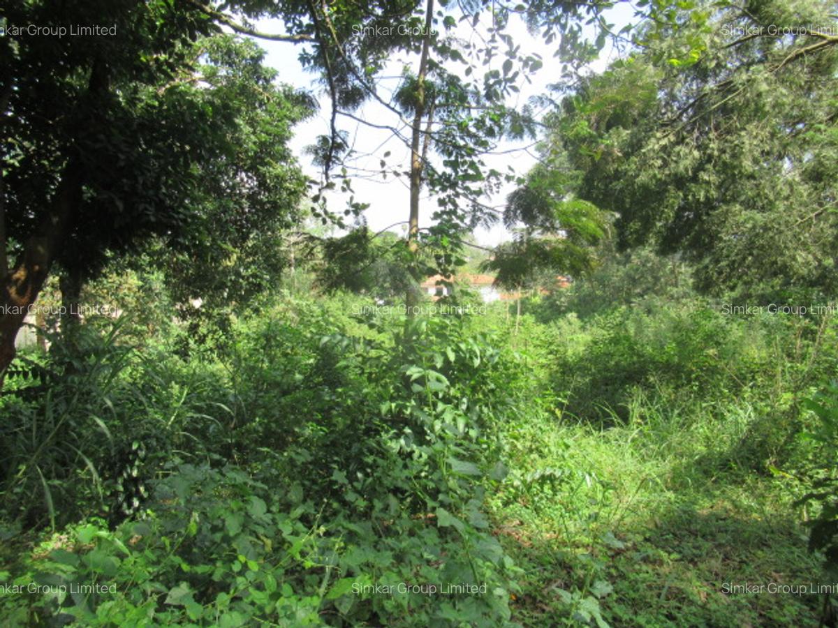 1 ac Land at Runda Grove - 6