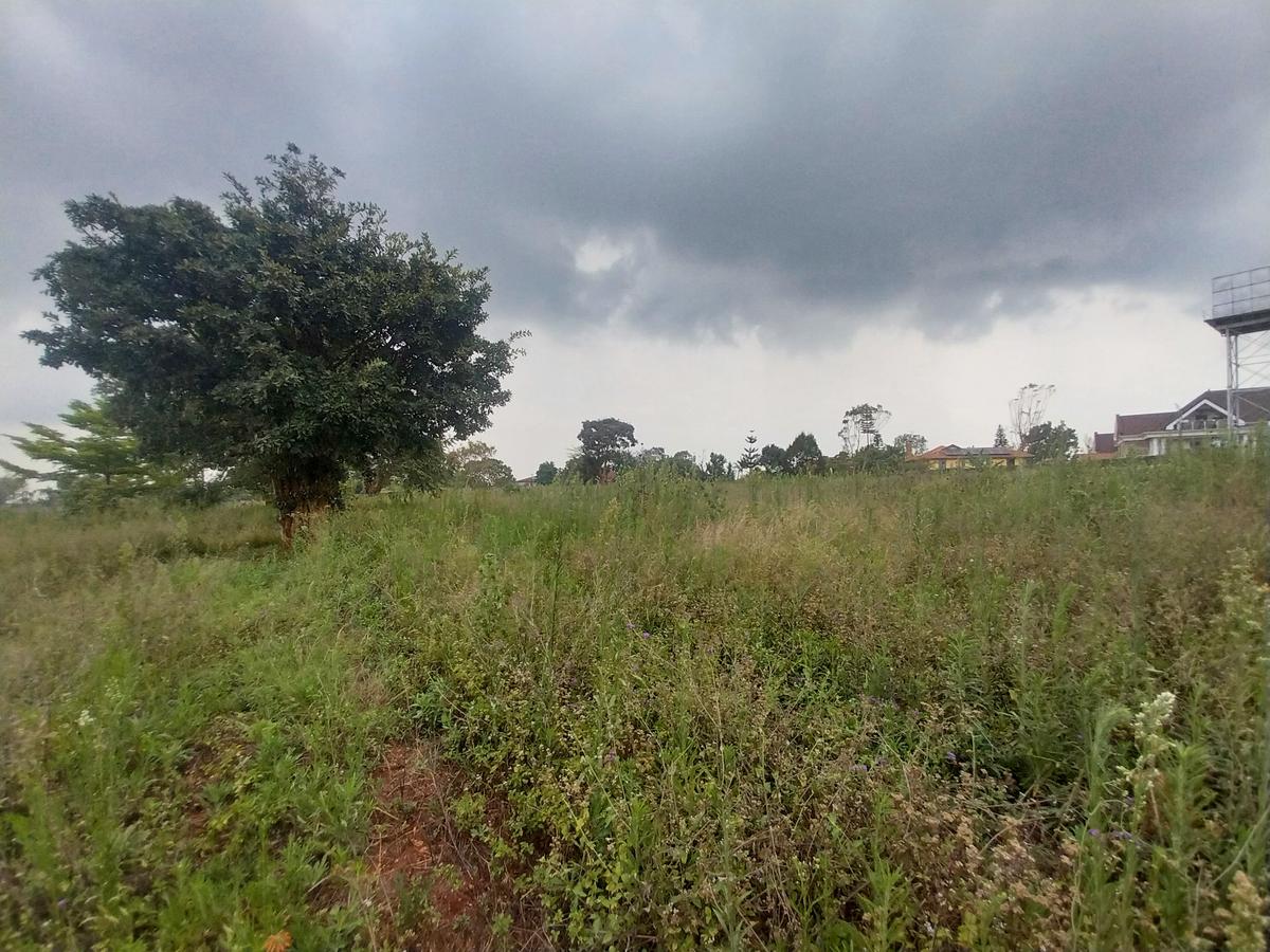 3.1 ac Land in Runda - 4