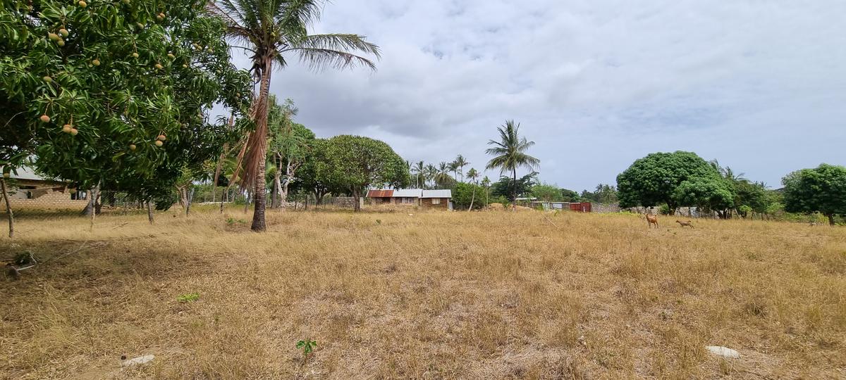 500 m² Land at Retreat - 5