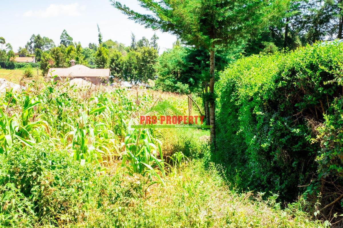 0.1 ha Residential Land at Kamangu - 7