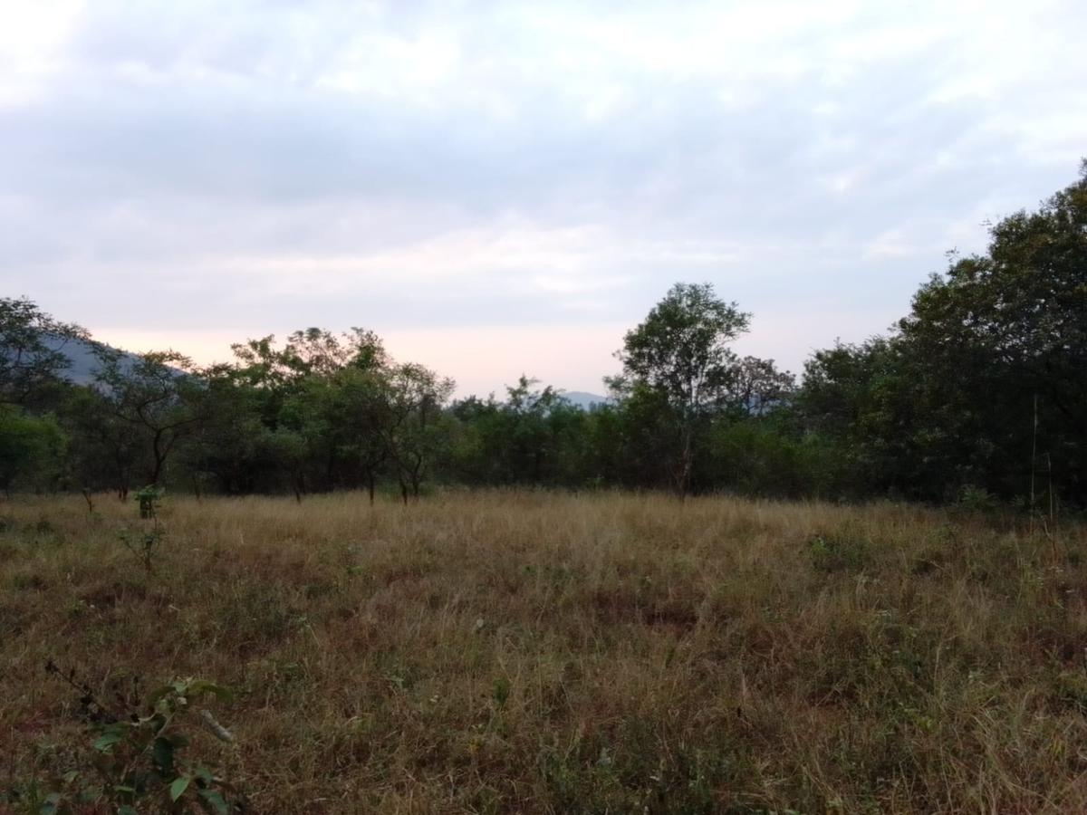 9 ac Land at Ithanga - 14