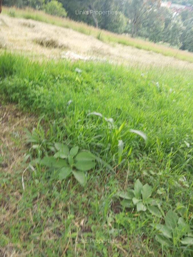 Residential Land at Kerarapon Road - 4