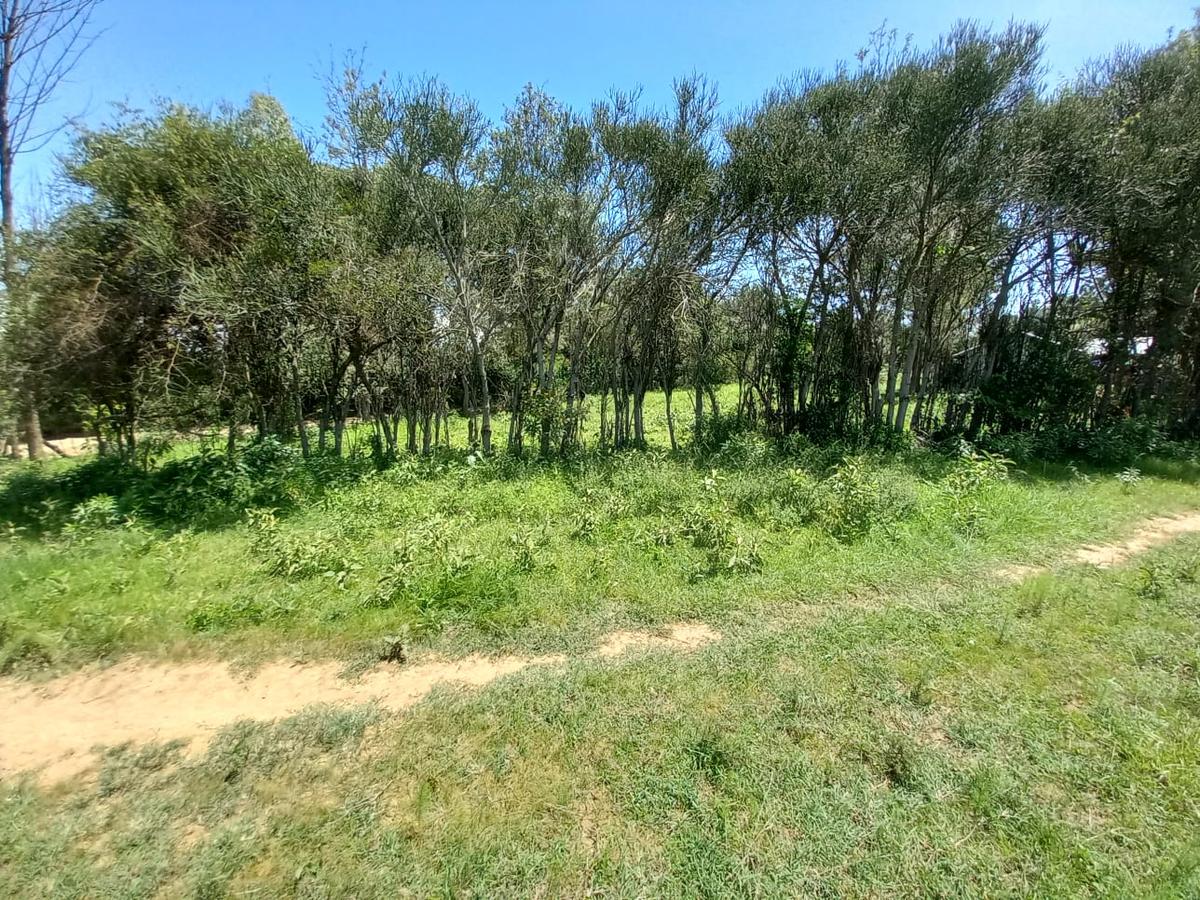 5 ac Land at Burguret - 5