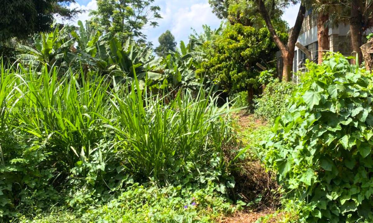 1 ac Land at Muchatha - 5