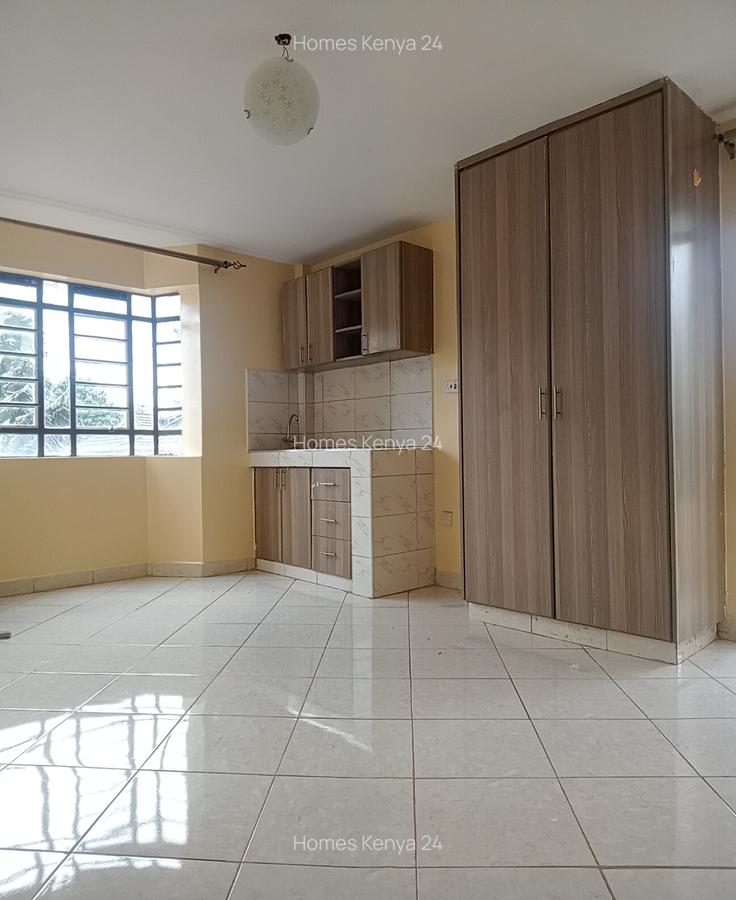 Studio Apartment in Ruaka - 6