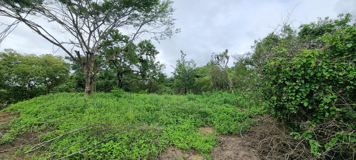 6 ac Land at Mtwapa Creekside - 19