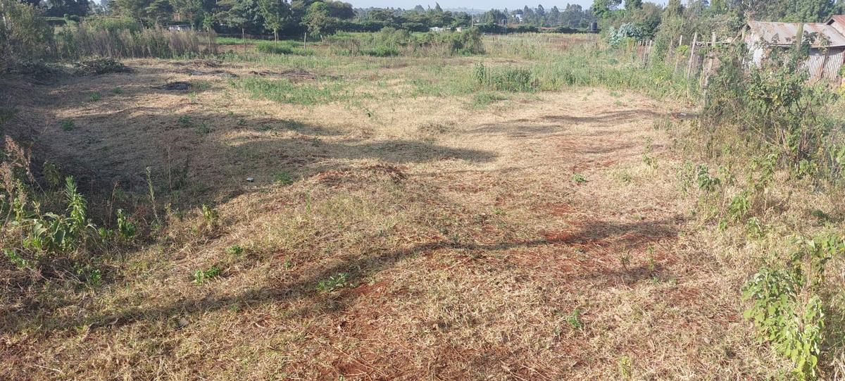 0.5 ac Residential Land at Near Gichuru High School - 4