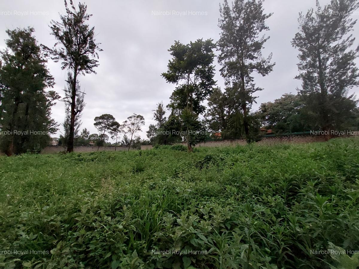 Residential Land at Runda Grove - 14