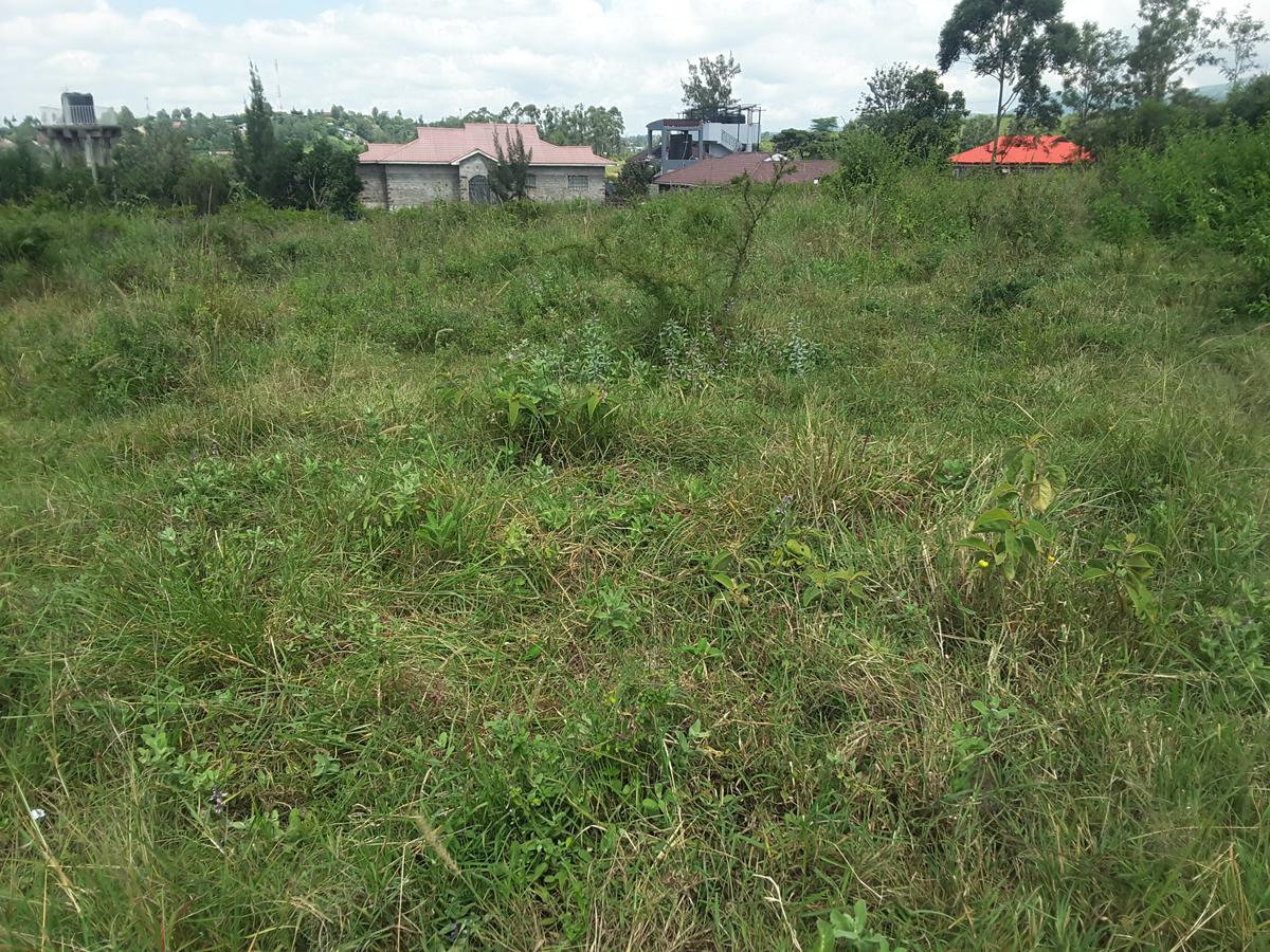 0.125 ac Residential Land in Ongata Rongai - 4