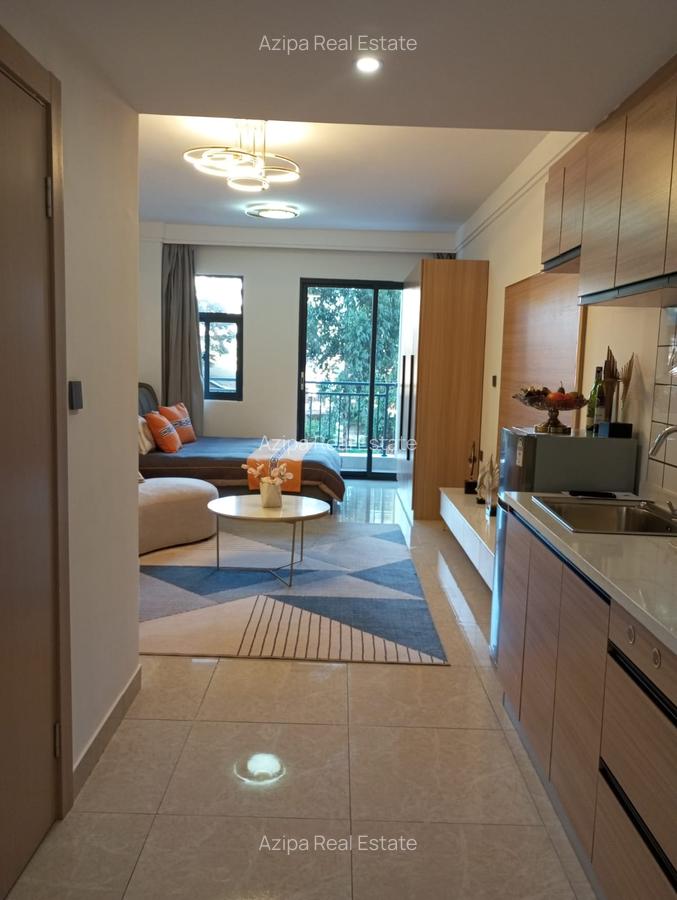 Studio Apartment with Swimming Pool in Ruaka - 5