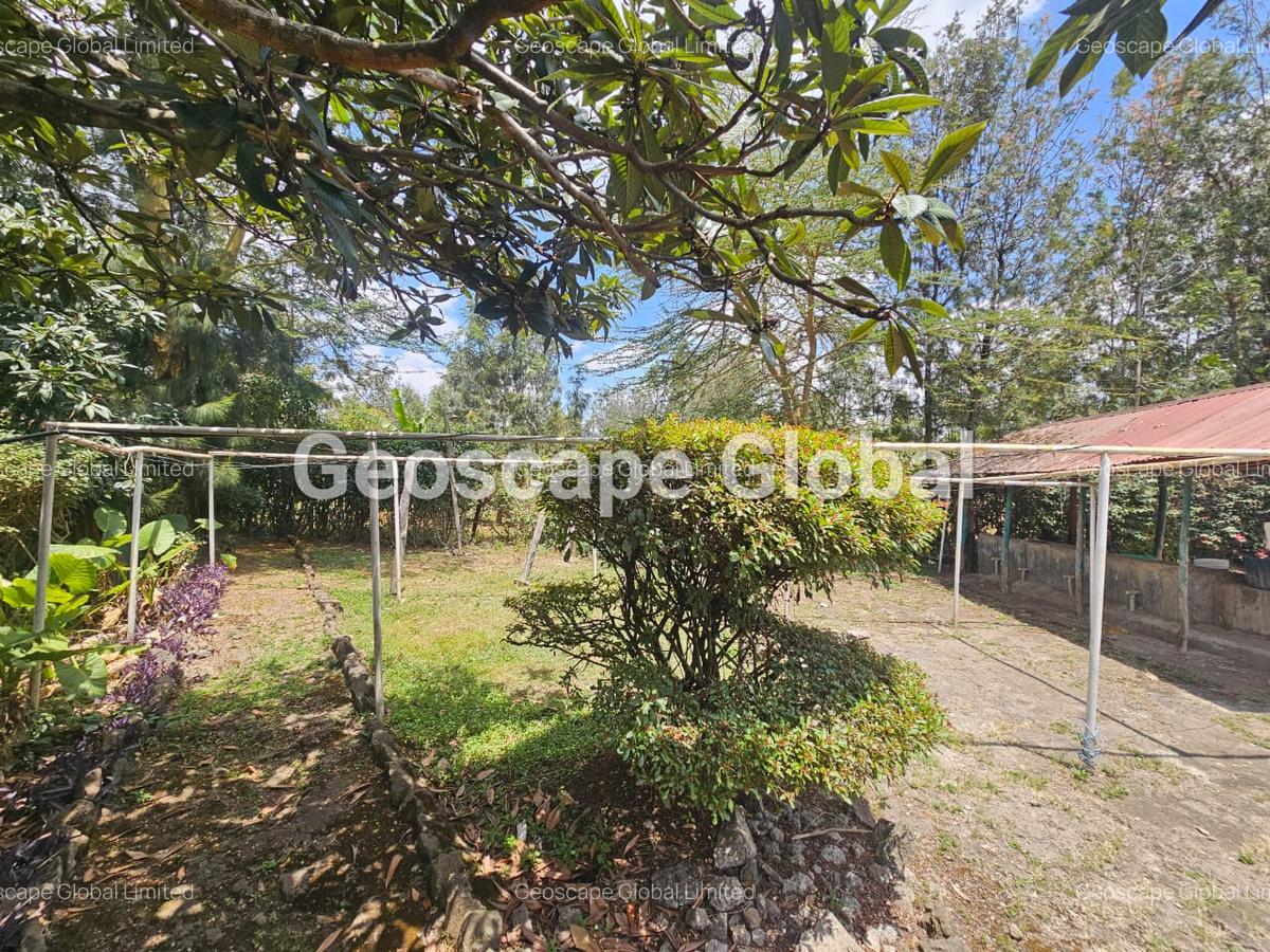 Commercial Property with Backup Generator in Karen - 7