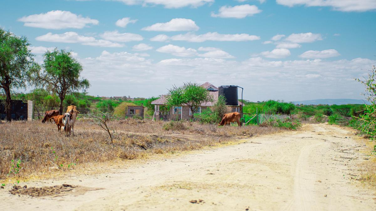 0.045 ha Residential Land at Isinya - 6