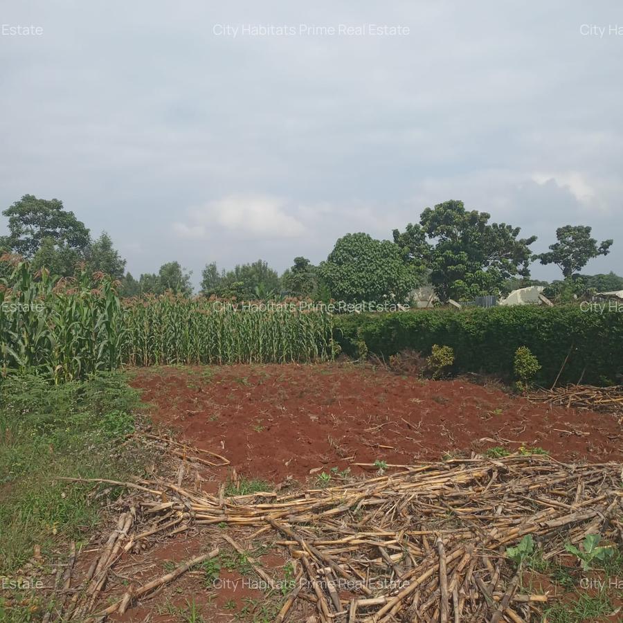 0.5 ac Residential Land in Tigoni - 1