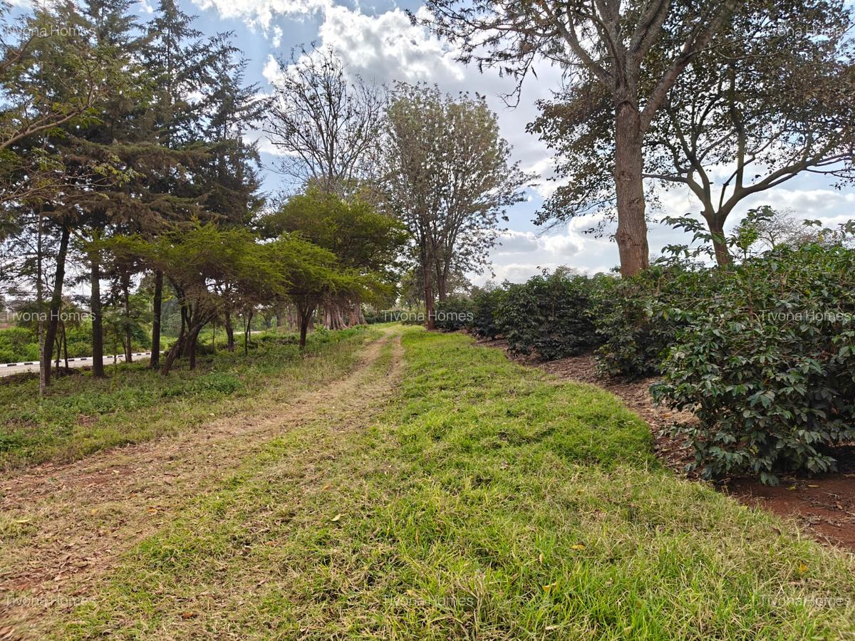 0.25 ac Commercial Land in Kiambu Road - 17