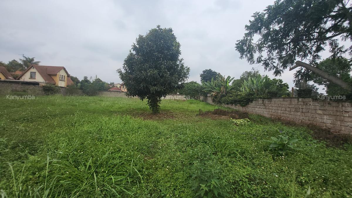 0.5 ac Land at Old Runda - 2