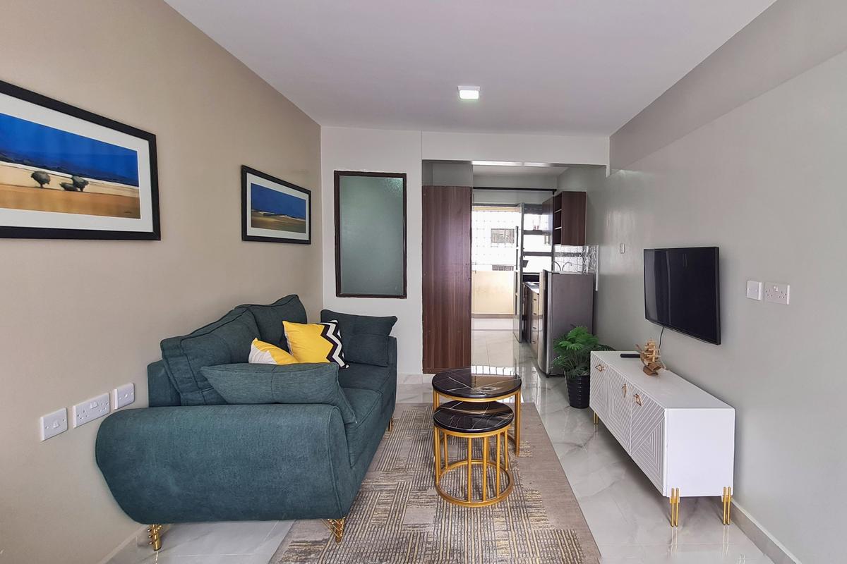 Studio Apartment with En Suite at Naivasha Road - 4