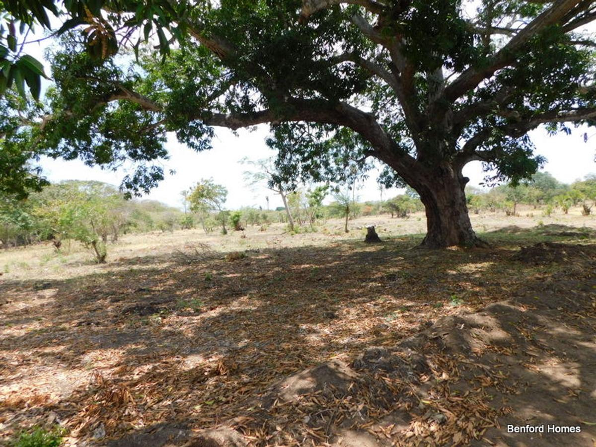 10,000 ft² Land in Vipingo - 10