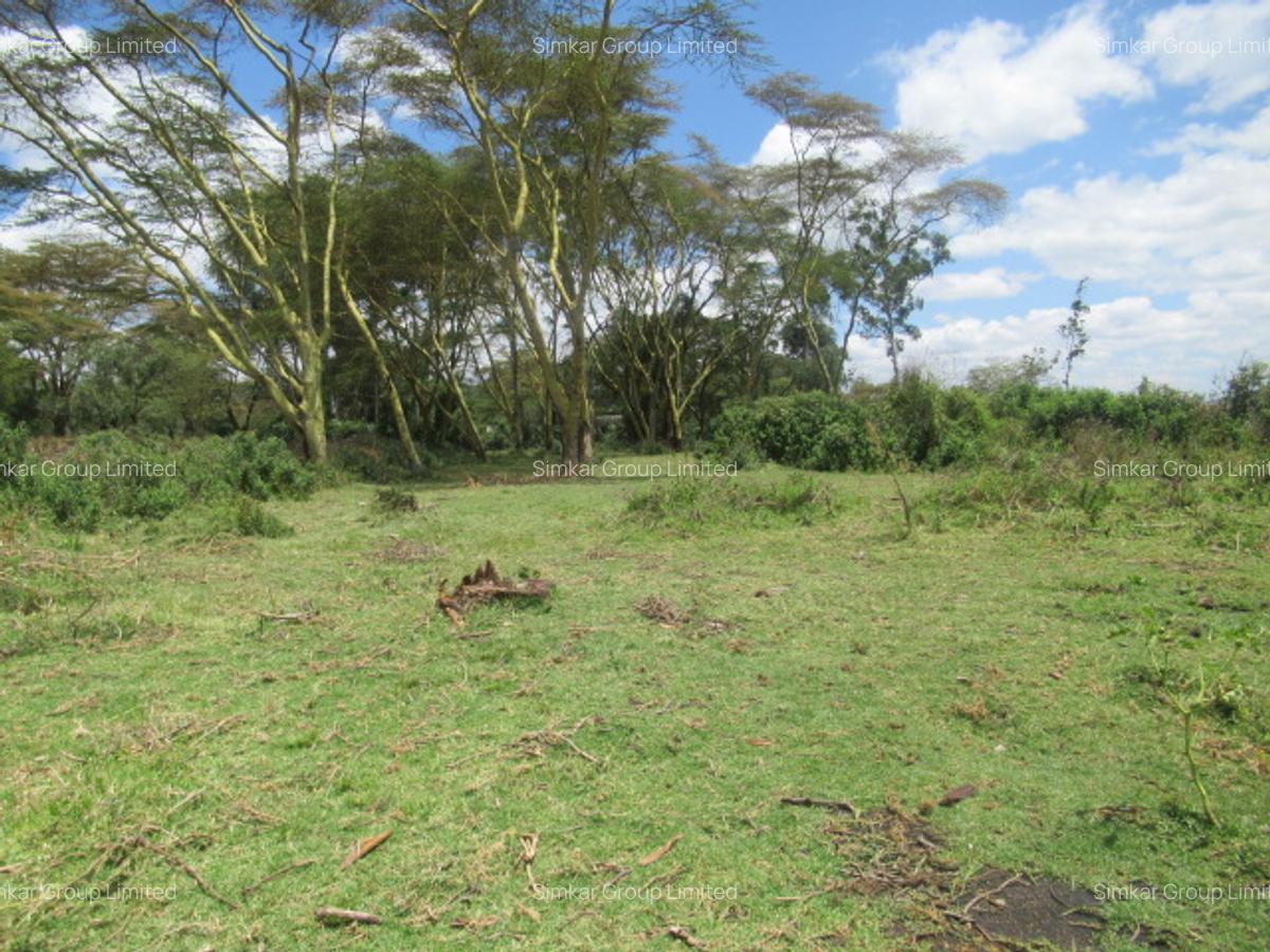 25 ac Land at Moi S Lake Rd - 14