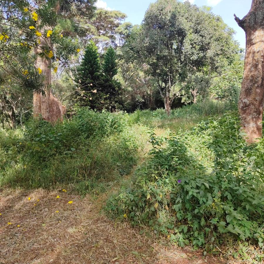 4.1 ac Land at Farasi Lane - 15