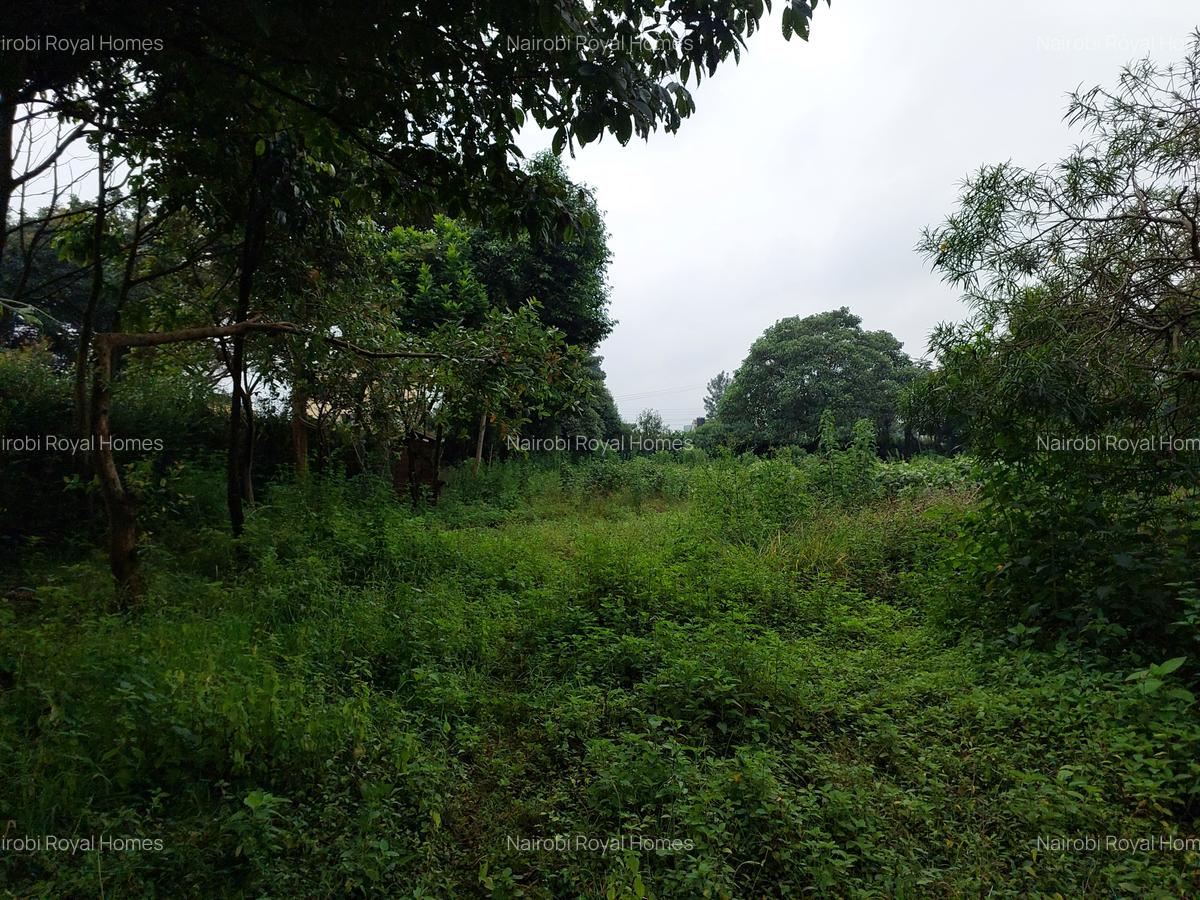 Commercial Land at Redhill Road - 13