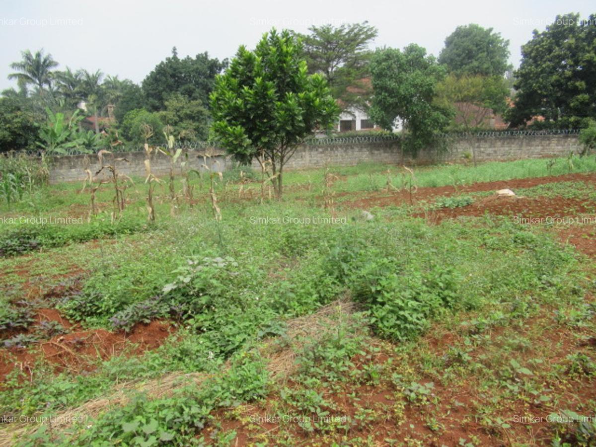 Residential Land at Runda - 3