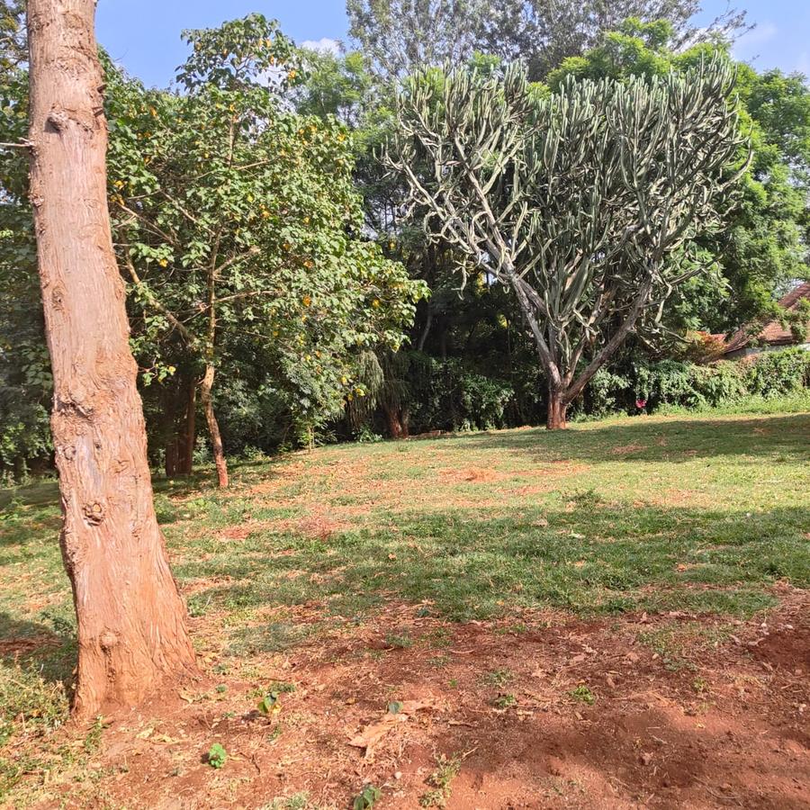 2.5 ac Residential Land at Old Kitisuru - 3