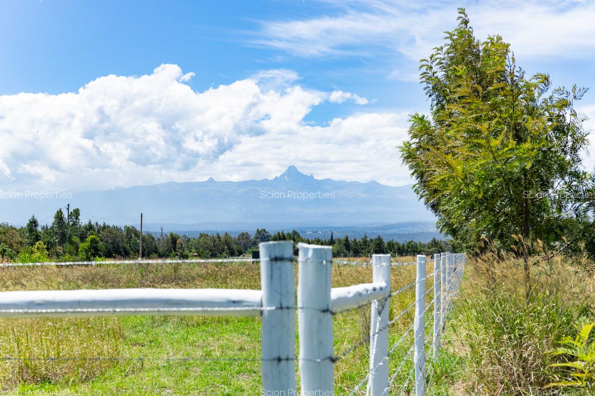 0.125 ac Residential Land in Nanyuki - 8