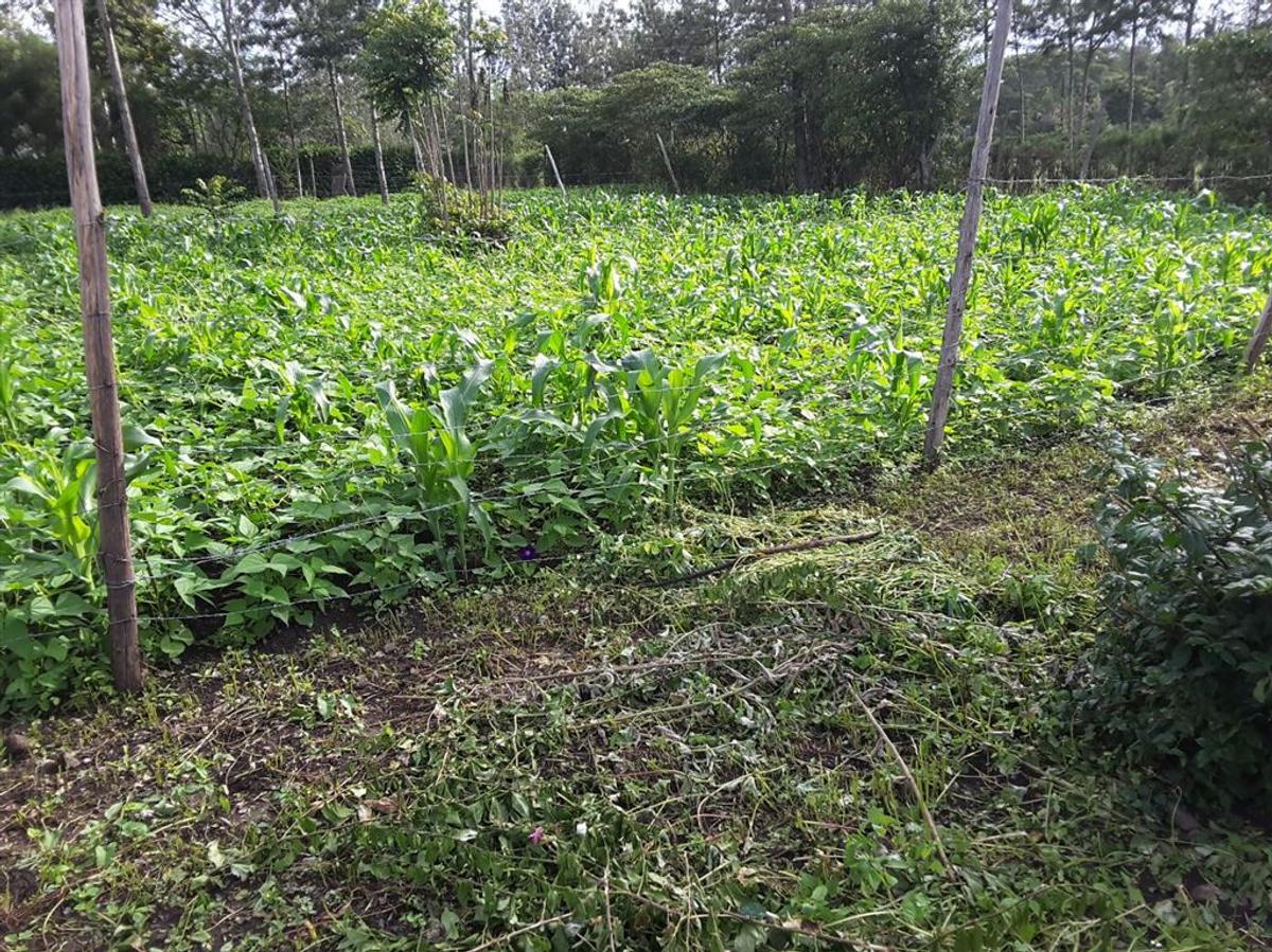 500 m² Residential Land in Ongata Rongai - 4