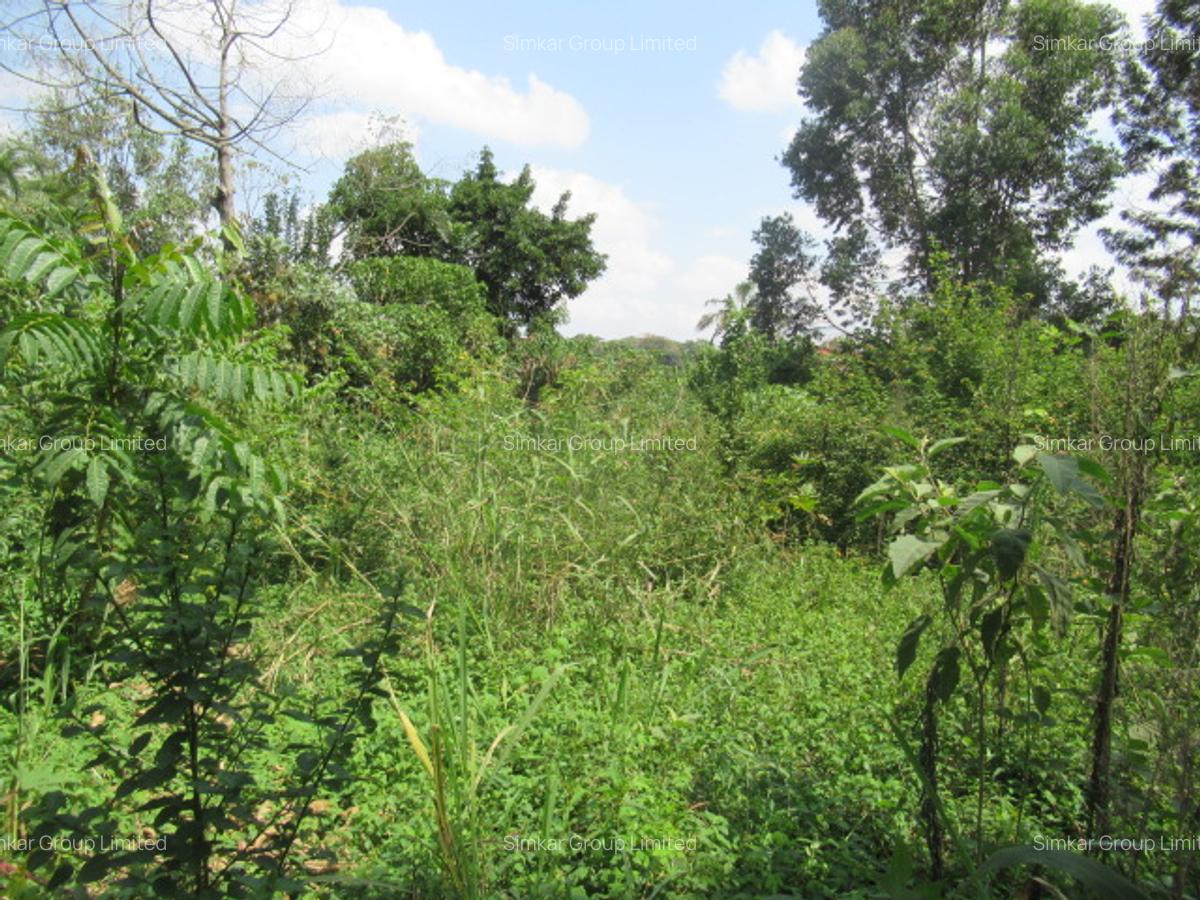 1 ac Land at Runda Grove - 3