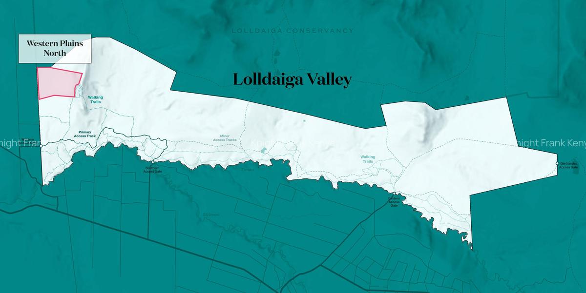 100 ac Land at Lolldaiga Valley - 7