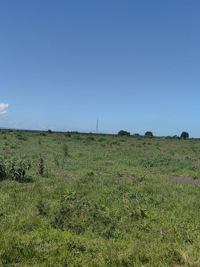 Land at Nanyuki - 17