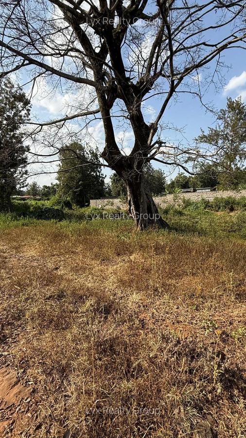 Land at Muthaiga North - 5