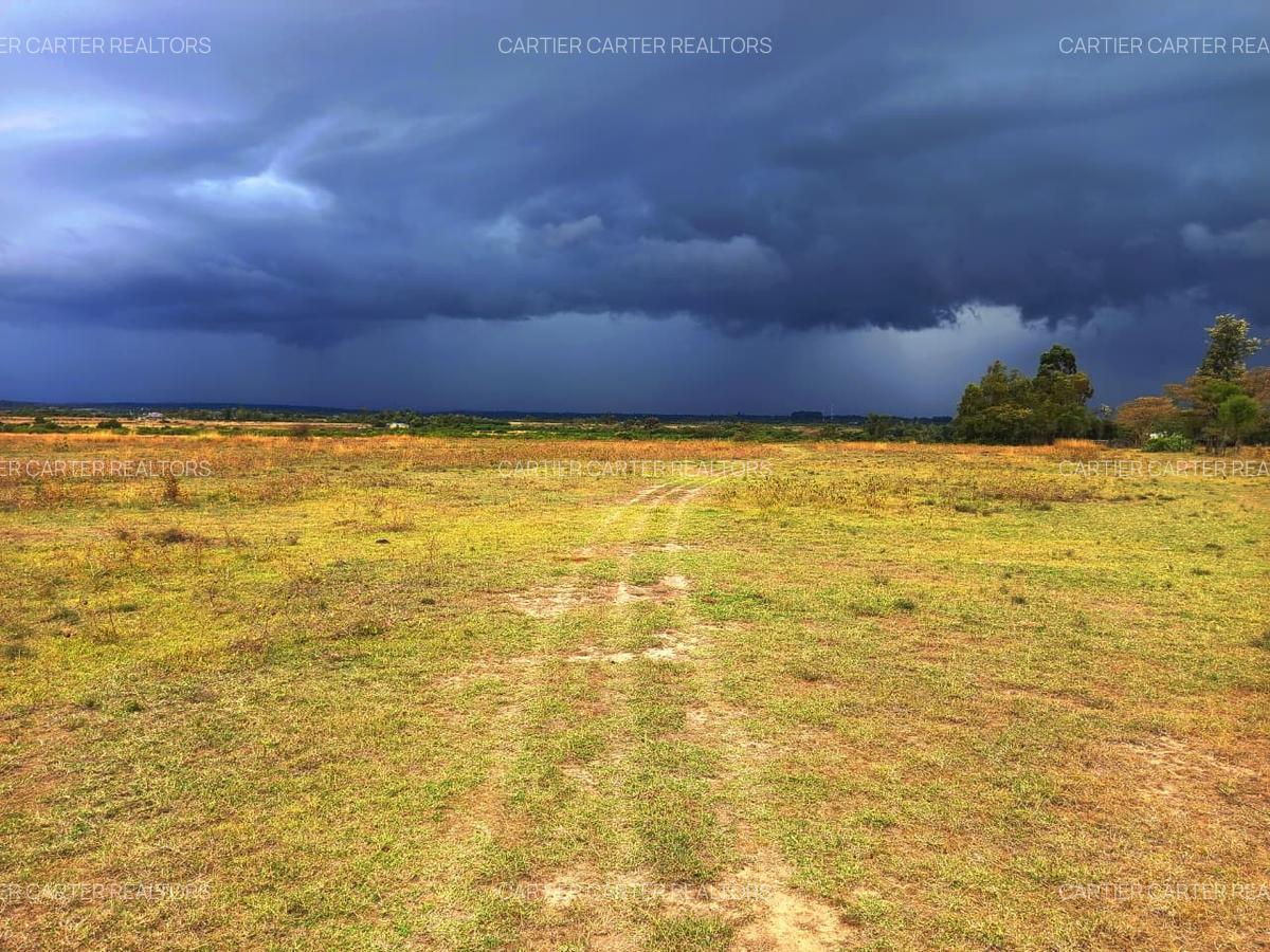 4 ac Land in Nanyuki - 4