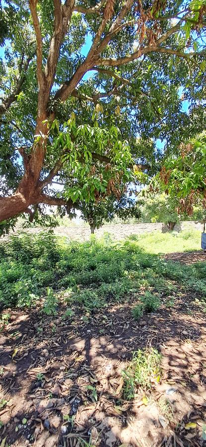 Land at Diani Beach Rd - 9