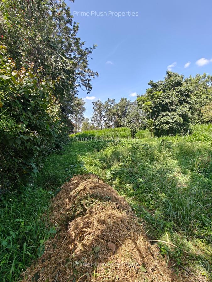 1.1 ac Land in Karen - 7
