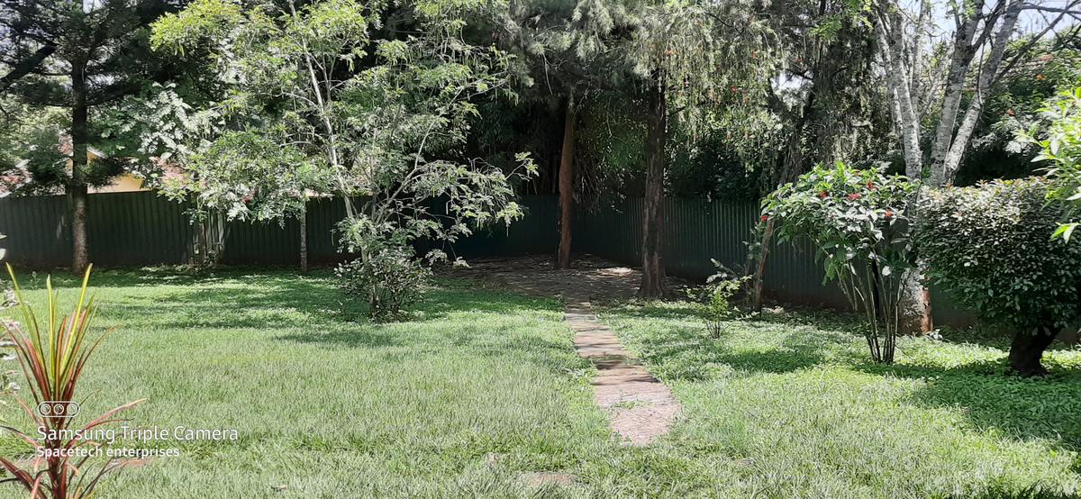 Commercial Property with Parking in Lavington - 4