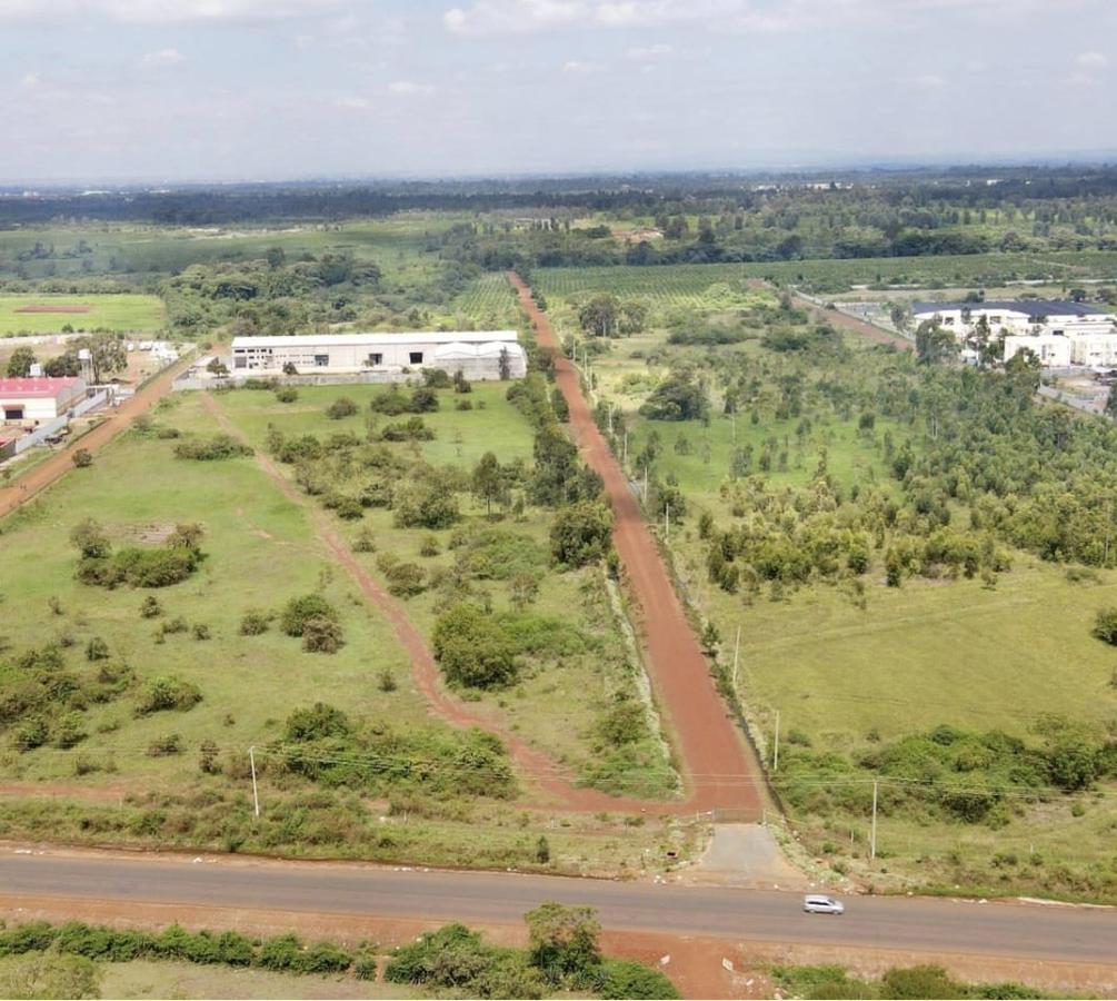 0.25 ac Land at Ngoingwa - 1