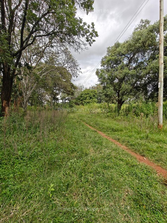 9 ac Land in Karen - 4