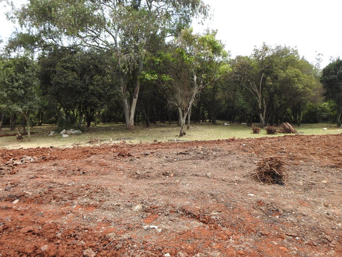 1 ac Land at Ngong View Estate - 2