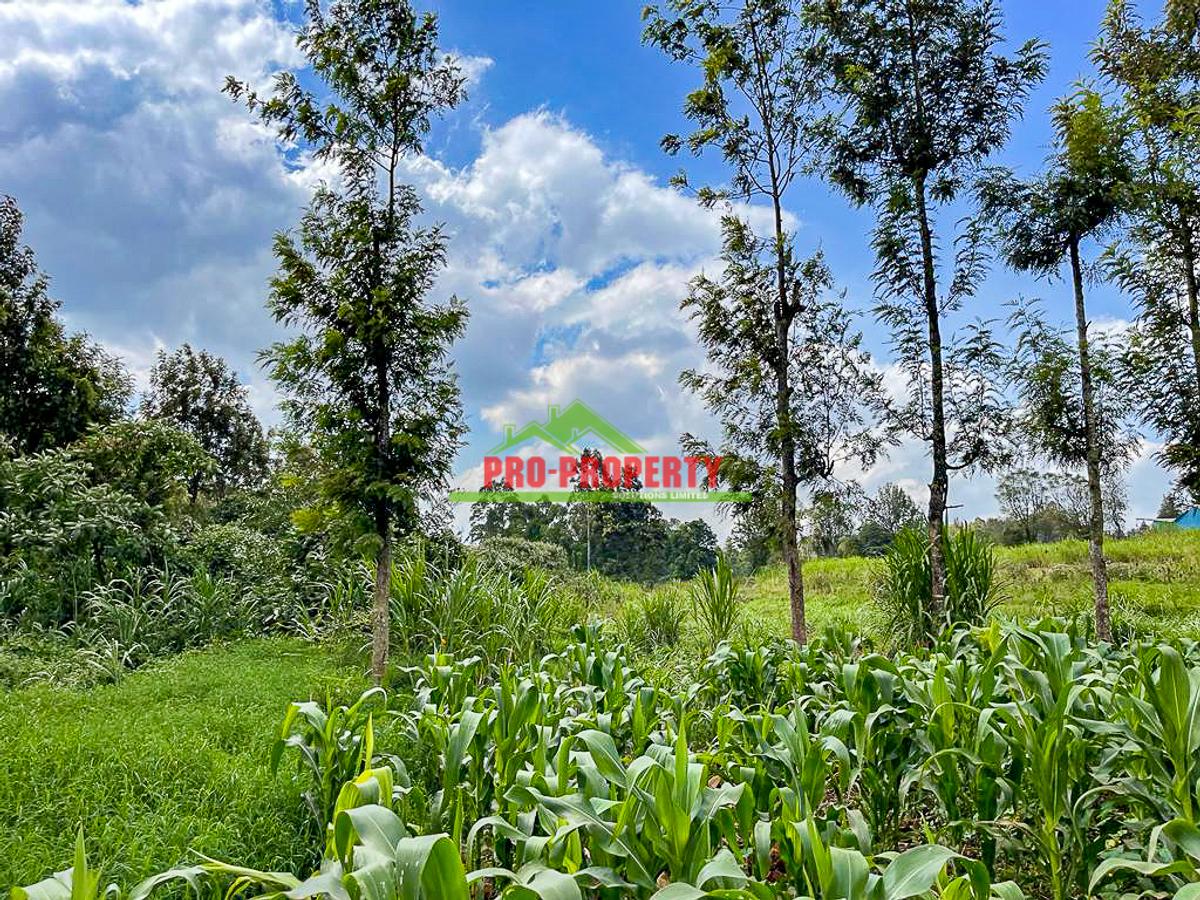 7.5 ac Land in Kikuyu Town - 11