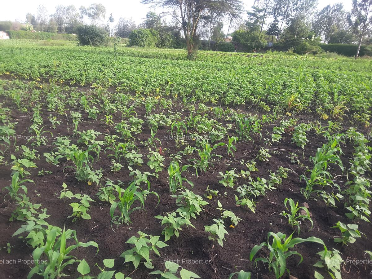 0.25 ac Residential Land in Ongata Rongai - 4