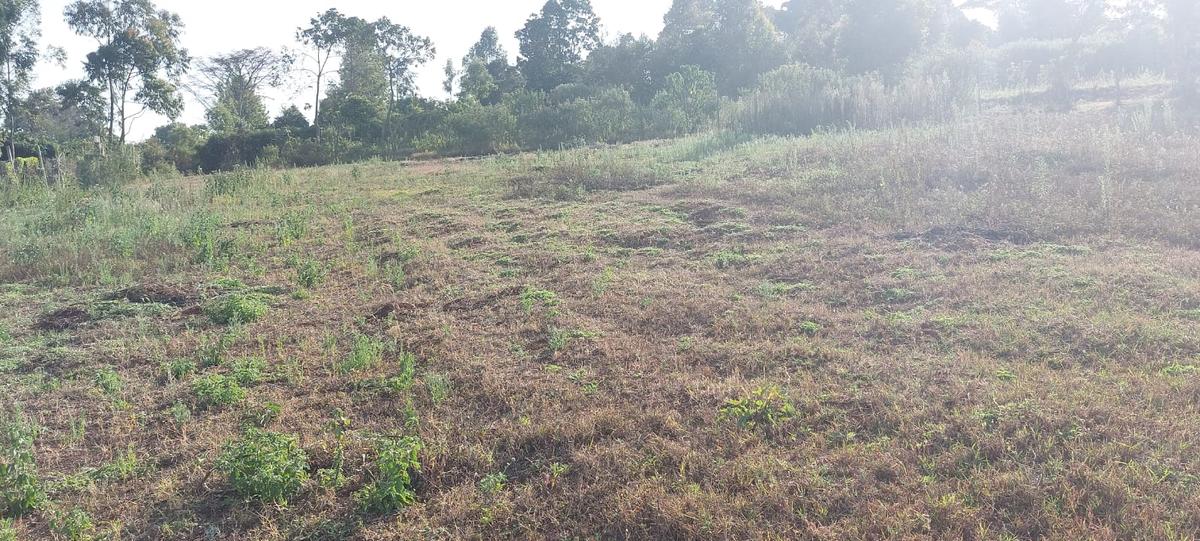 0.5 ac Residential Land at Near Gichuru High School - 8