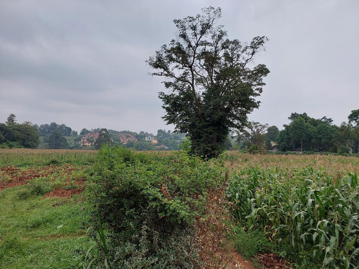 Residential Land at Kitisuru Ridge 44 - 11