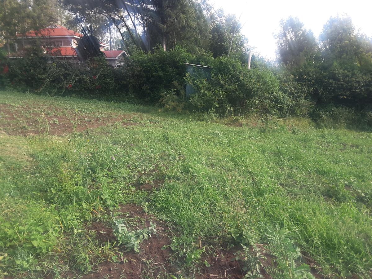 0.25 ac Land in Ngong - 4