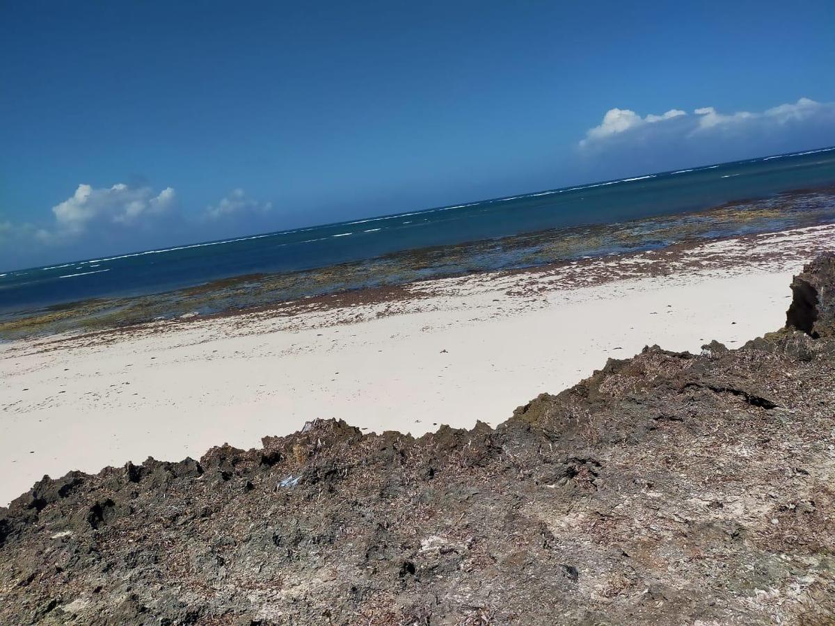 Land in Kilifi County - 17