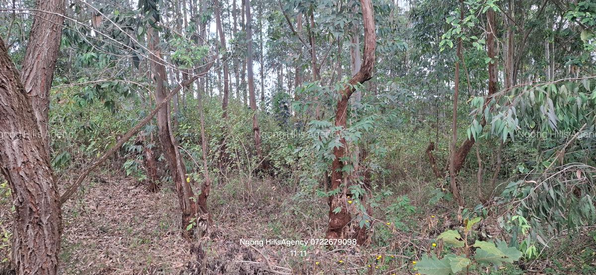 Residential Land at Kerarapon Drive - 3