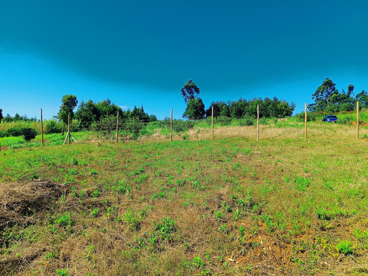 450 m² Residential Land at Ha. Koinange - 9