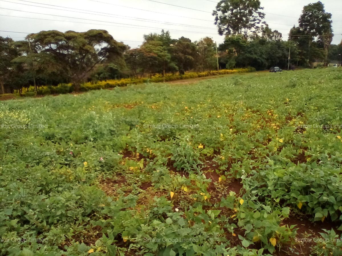 Commercial Property at Red Hill Rd - 3