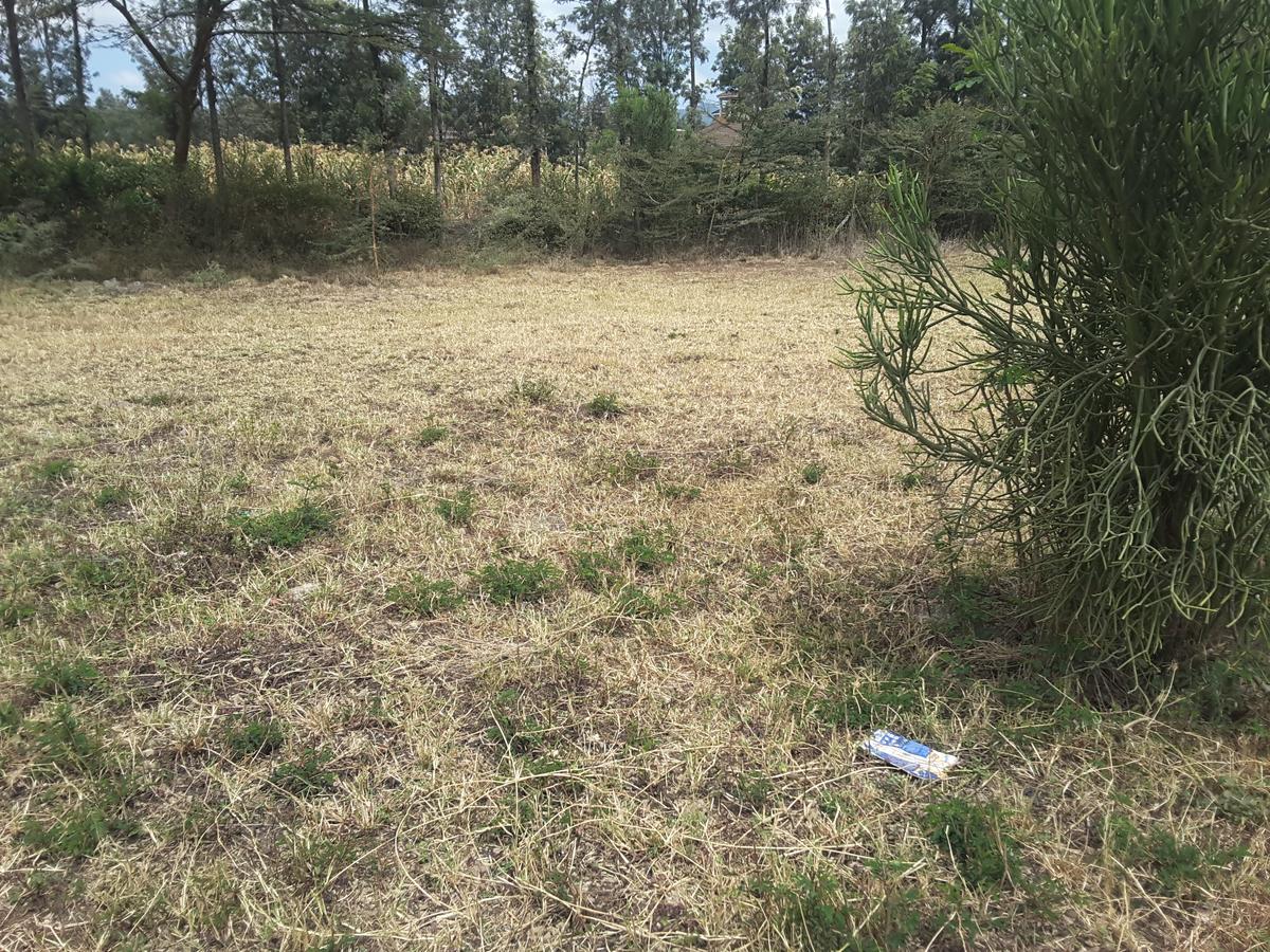 0.125 ac Residential Land in Ongata Rongai - 19