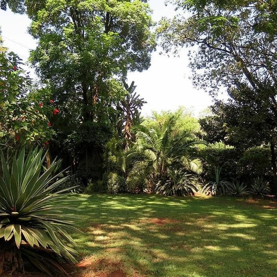 0.75 ac Land at Chalbi Drive - 7
